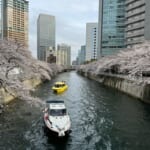 ブランズタワー大崎の目黒川（スムラボ）住井はな